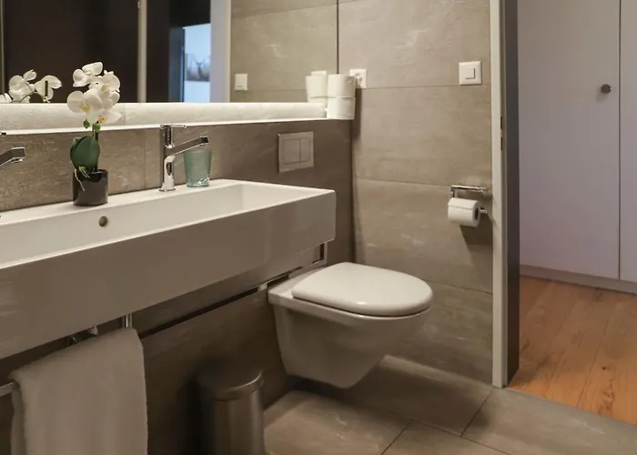 Allod Park Haus C 707 By Interhome * Davos